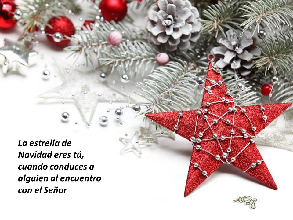 La estrella de Navidad eres tú, cuando conduces a alguien al encuentro con el Señor