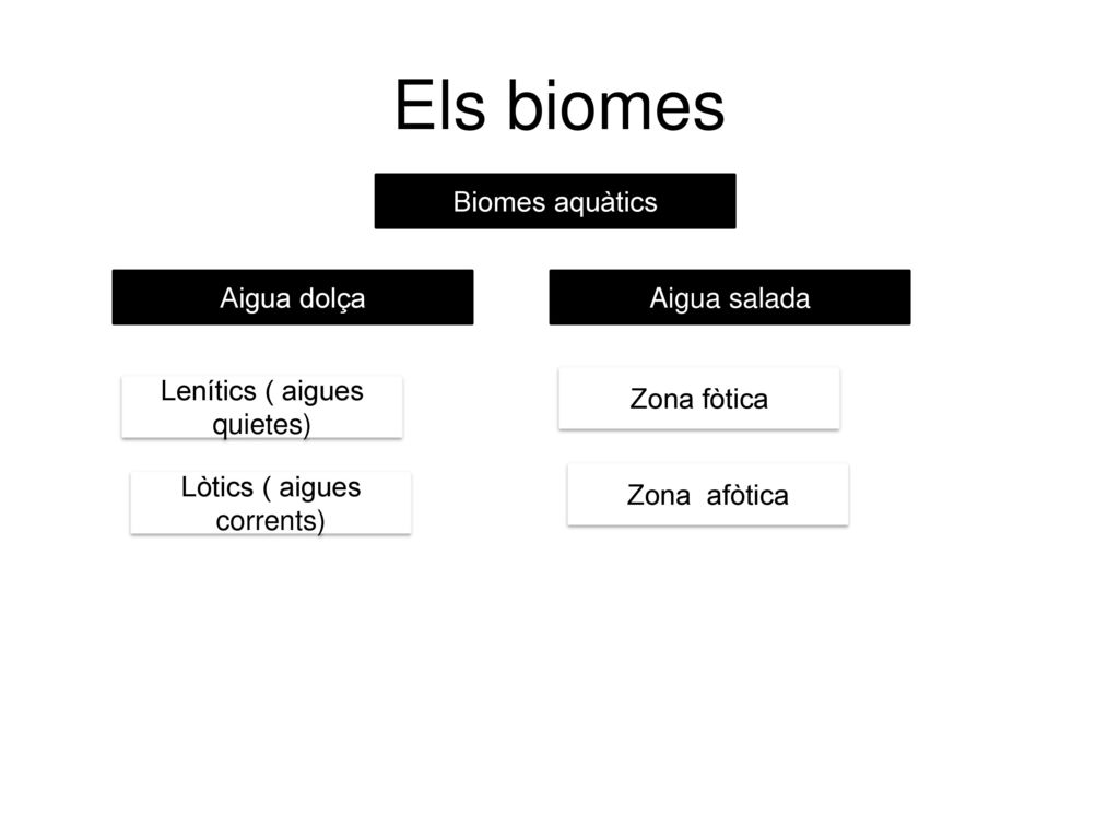 Els biomes Biomes aquàtics Aigua dolça Aigua salada Zona fòtica