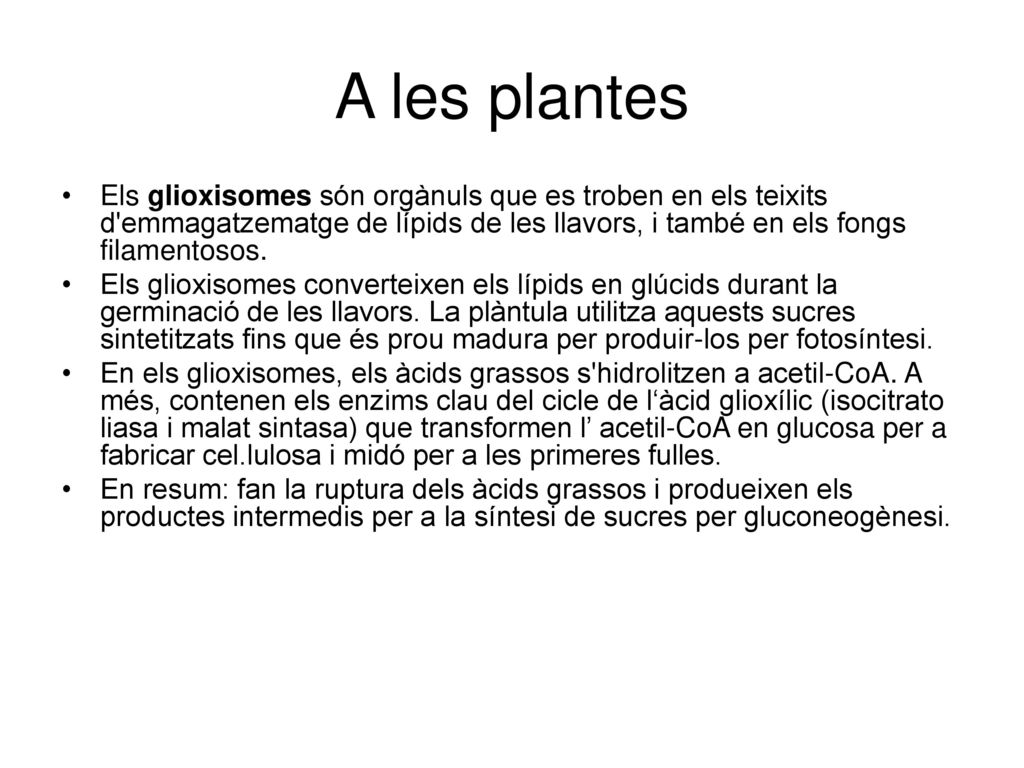 A les plantes Els glioxisomes són orgànuls que es troben en els teixits d emmagatzematge de lípids de les llavors, i també en els fongs filamentosos.