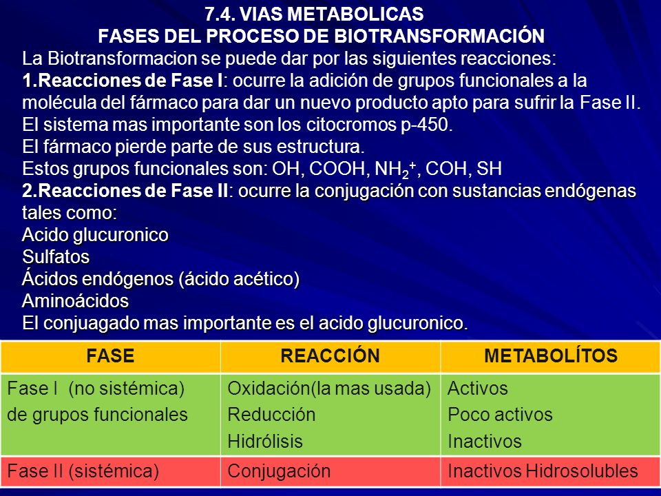 7.4. VIAS METABOLICAS FASES DEL PROCESO DE BIOTRANSFORMACIÓN La Biotransformacion se puede dar por las siguientes reacciones: 1.Reacciones de Fase I: ocurre la adición de grupos funcionales a la molécula del fármaco para dar un nuevo producto apto para sufrir la Fase II. El sistema mas importante son los citocromos p-450. El fármaco pierde parte de sus estructura. Estos grupos funcionales son: OH, COOH, NH2+, COH, SH 2.Reacciones de Fase II: ocurre la conjugación con sustancias endógenas tales como: Acido glucuronico Sulfatos Ácidos endógenos (ácido acético) Aminoácidos El conjuagado mas importante es el acido glucuronico.