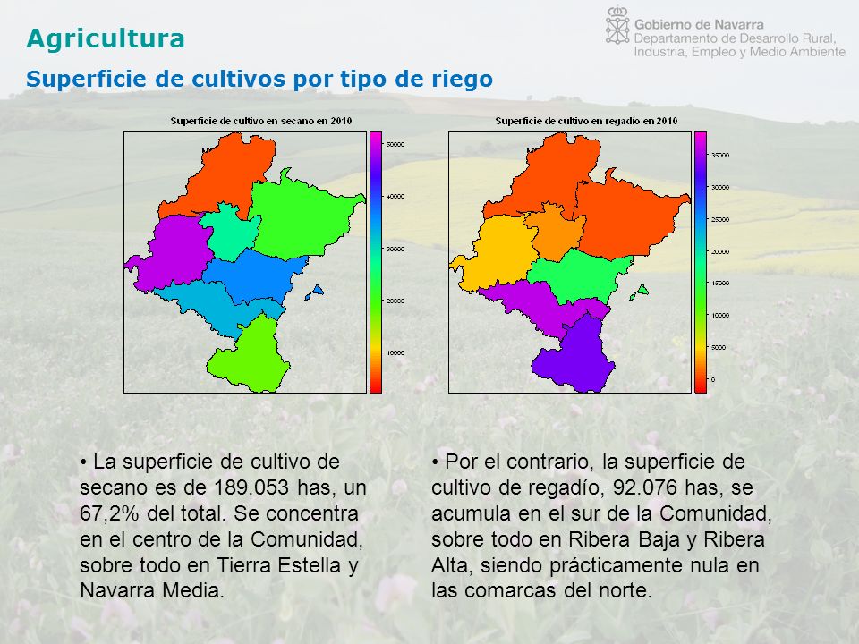 Agricultura Superficie de cultivos por tipo de riego