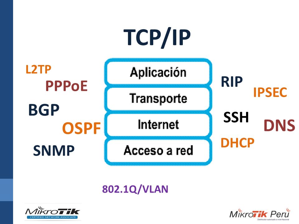 TCP/IP L2TP RIP PPPoE IPSEC BGP SSH DNS OSPF DHCP SNMP 802.1Q/VLAN