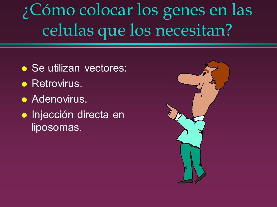¿Cómo colocar los genes en las celulas que los necesitan