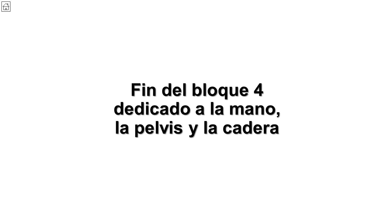 Fin del bloque 4 dedicado a la mano, la pelvis y la cadera