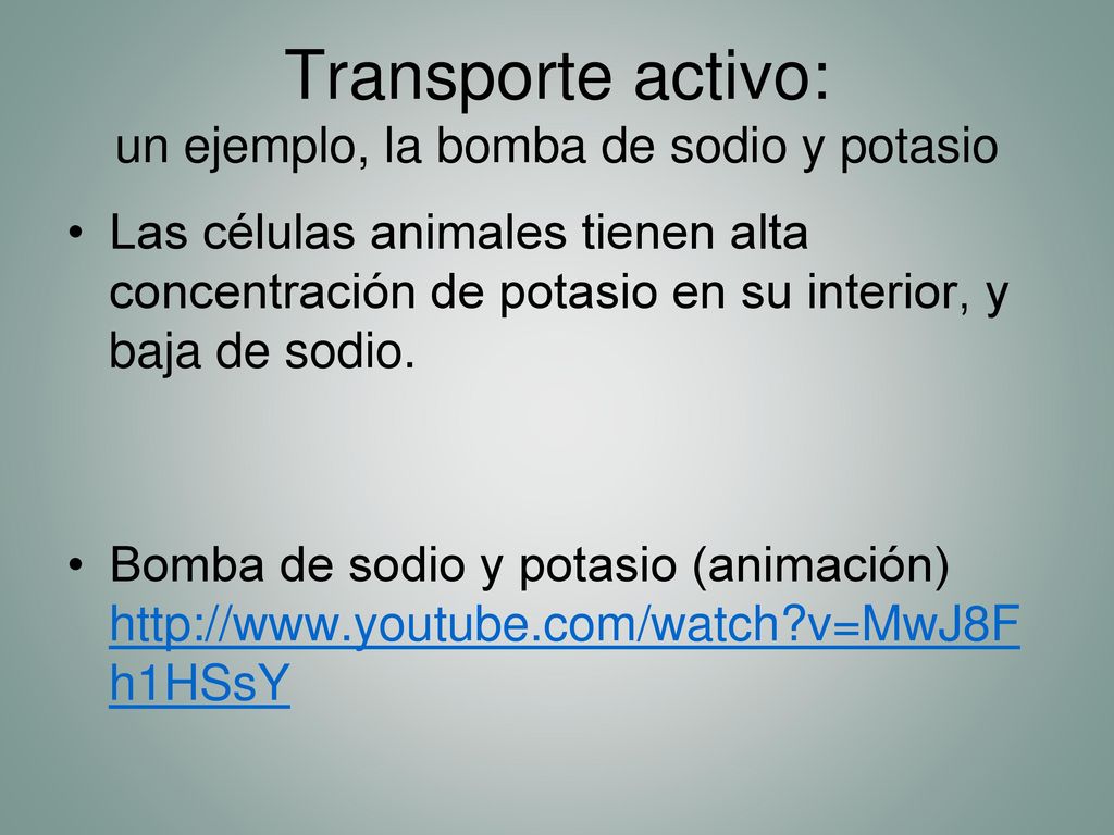 Transporte activo: un ejemplo, la bomba de sodio y potasio