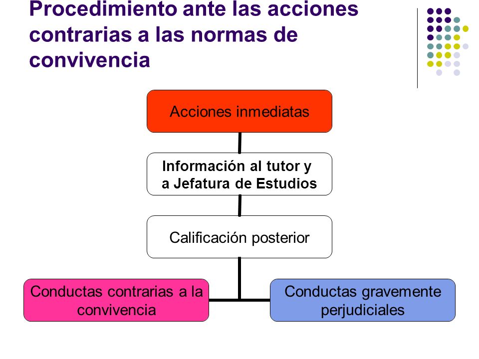 Procedimiento ante las acciones contrarias a las normas de convivencia