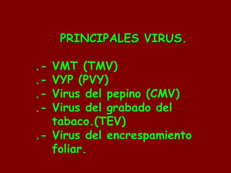 .- Virus del pepino (CMV) .- Virus del grabado del tabaco.(TEV)