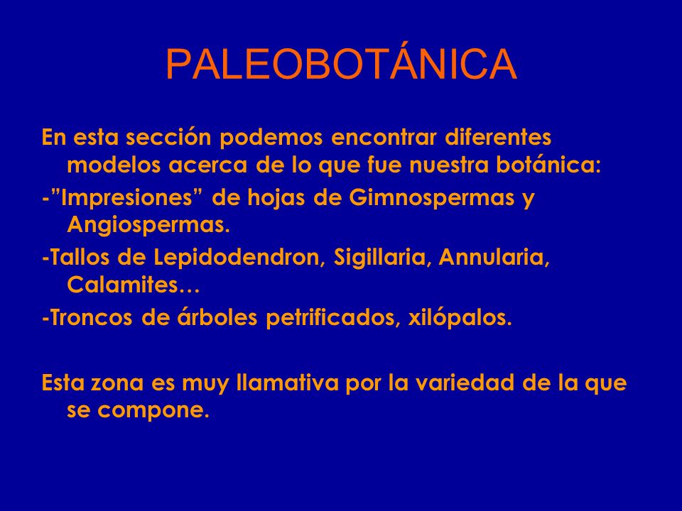 PALEOBOTÁNICA En esta sección podemos encontrar diferentes modelos acerca de lo que fue nuestra botánica: