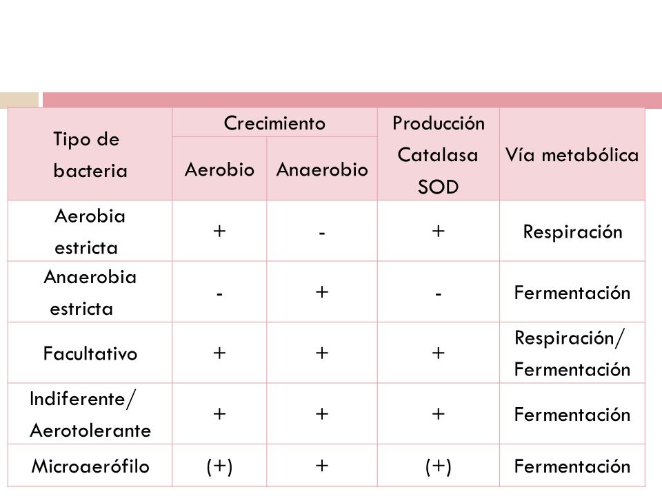 Tipo de bacteria. Crecimiento. Producción. Catalasa. SOD. Vía metabólica. Aerobio. Anaerobio.