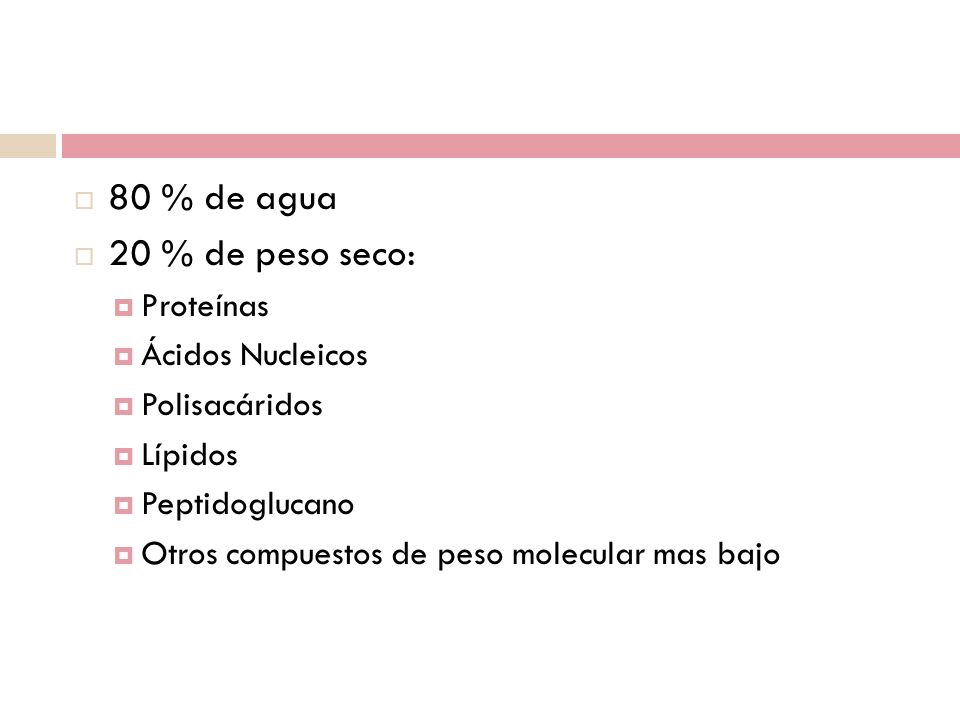 Introducción 80 % de agua 20 % de peso seco: Proteínas