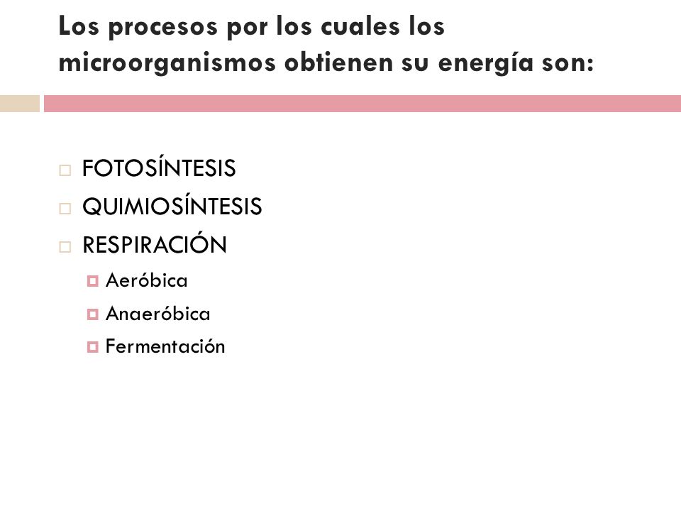 Los procesos por los cuales los microorganismos obtienen su energía son: