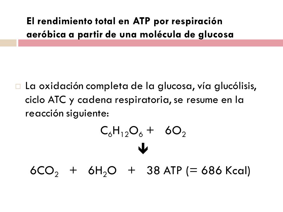 C6H12O6 + 6O2  6CO2 + 6H2O + 38 ATP (= 686 Kcal)