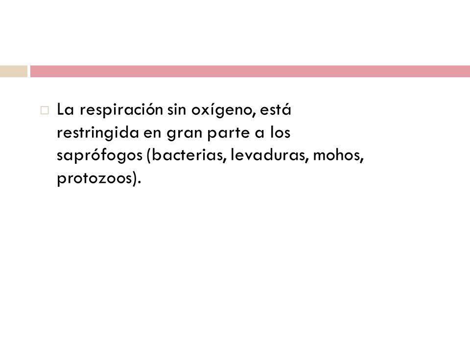 La respiración sin oxígeno, está restringida en gran parte a los saprófogos (bacterias, levaduras, mohos, protozoos).