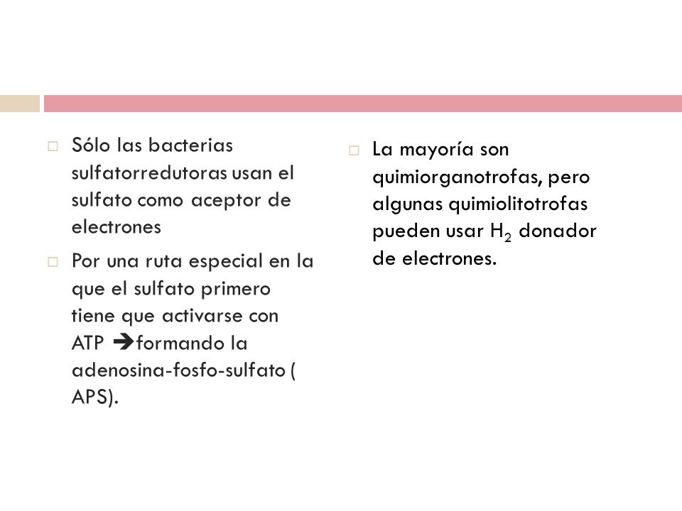 Sólo las bacterias sulfatorredutoras usan el sulfato como aceptor de electrones