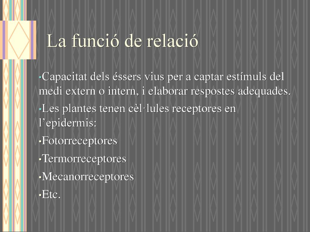 La funció de relació Capacitat dels éssers vius per a captar estímuls del medi extern o intern, i elaborar respostes adequades.