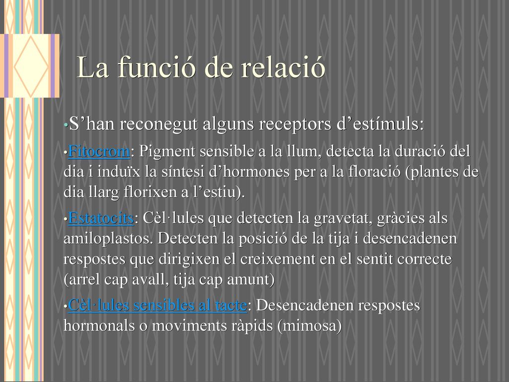 La funció de relació S’han reconegut alguns receptors d’estímuls: