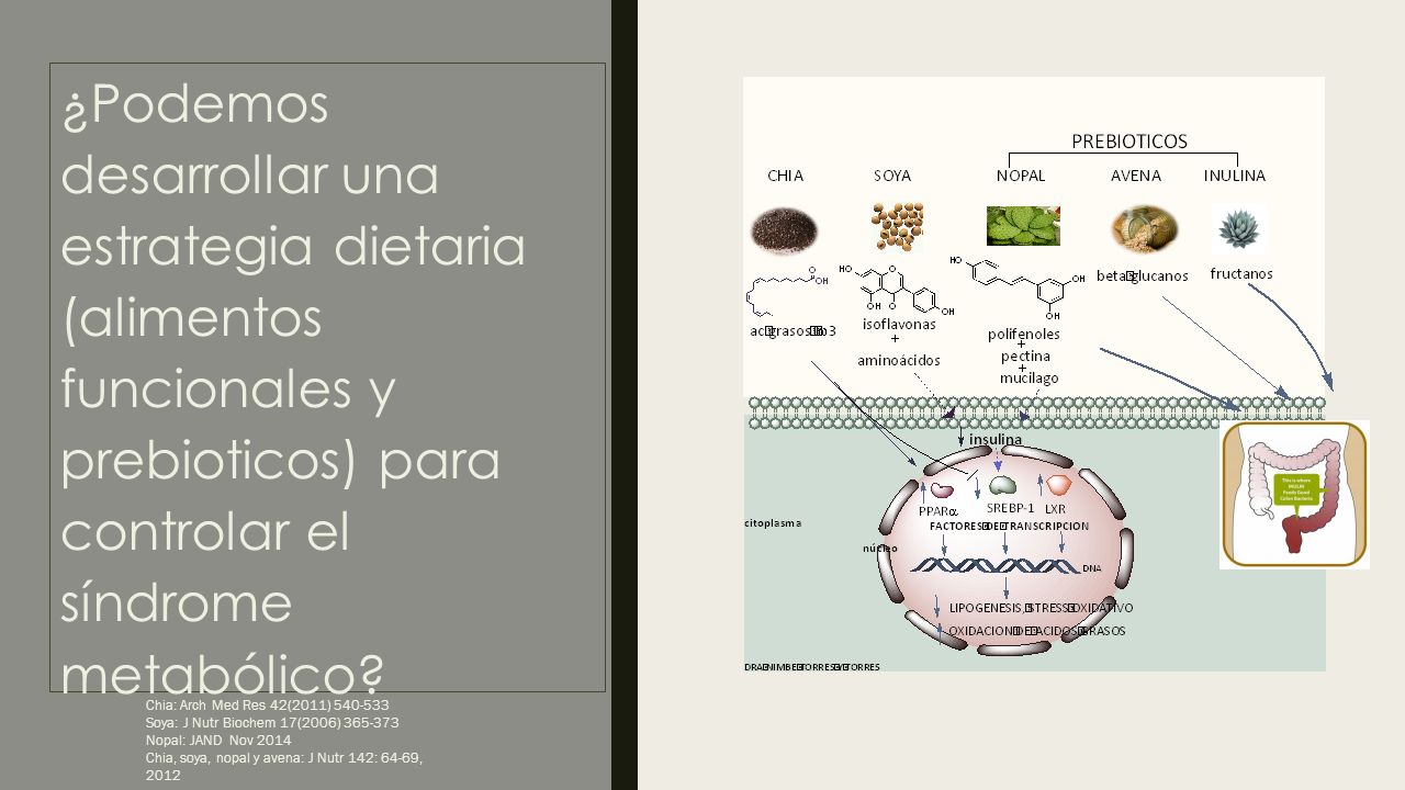 ¿Podemos desarrollar una estrategia dietaria (alimentos funcionales y prebioticos) para controlar el síndrome metabólico