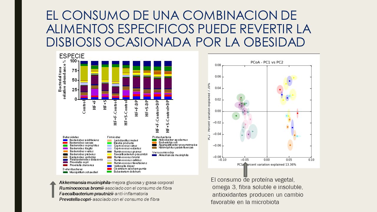 EL CONSUMO DE UNA COMBINACION DE ALIMENTOS ESPECIFICOS PUEDE REVERTIR LA DISBIOSIS OCASIONADA POR LA OBESIDAD