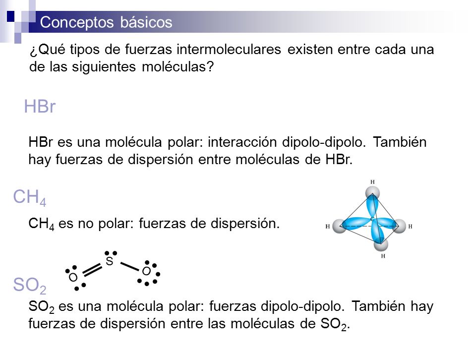 ¿Qué tipos de fuerzas intermoleculares existen entre cada una de las siguientes moléculas