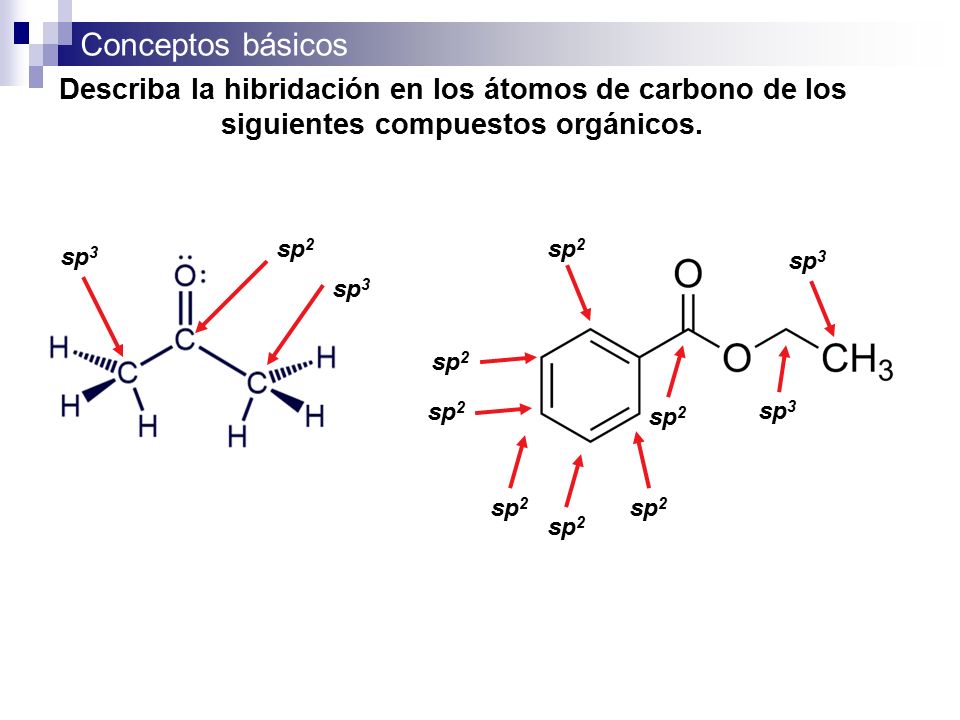 Describa la hibridación en los átomos de carbono de los siguientes compuestos orgánicos.