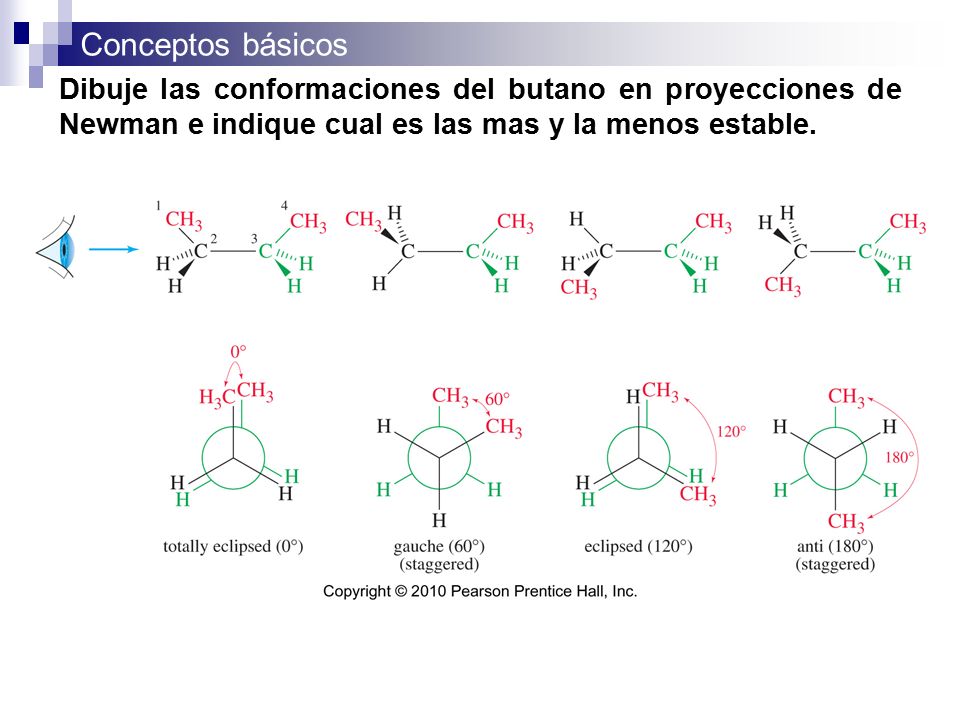 Dibuje las conformaciones del butano en proyecciones de Newman e indique cual es las mas y la menos estable.