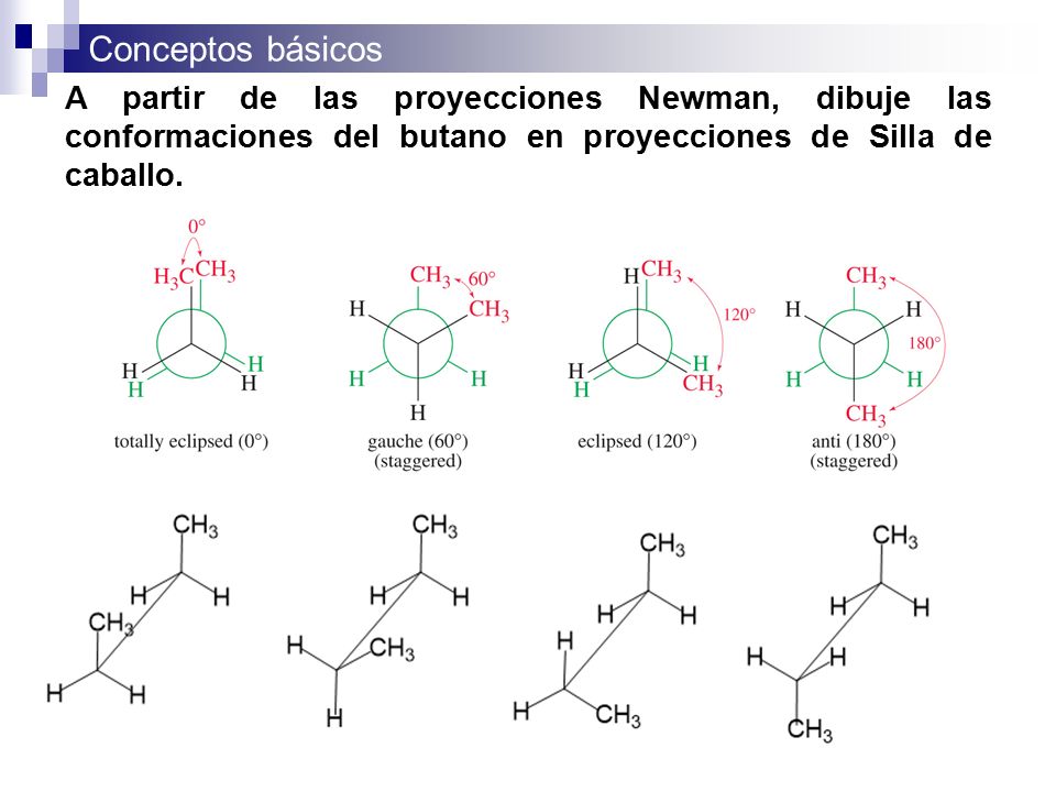 A partir de las proyecciones Newman, dibuje las conformaciones del butano en proyecciones de Silla de caballo.