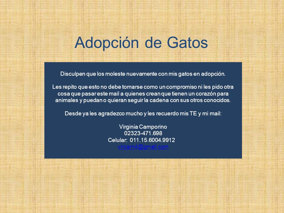 Adopción de Gatos Disculpen que los moleste nuevamente con mis gatos en adopción.