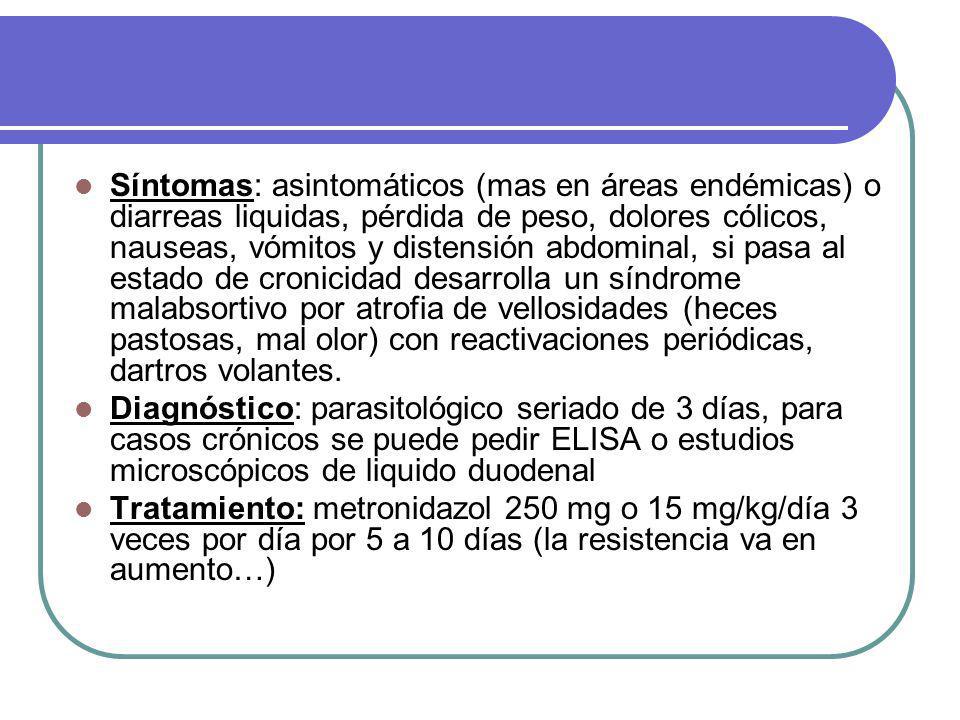 Síntomas: asintomáticos (mas en áreas endémicas) o diarreas liquidas, pérdida de peso, dolores cólicos, nauseas, vómitos y distensión abdominal, si pasa al estado de cronicidad desarrolla un síndrome malabsortivo por atrofia de vellosidades (heces pastosas, mal olor) con reactivaciones periódicas, dartros volantes.