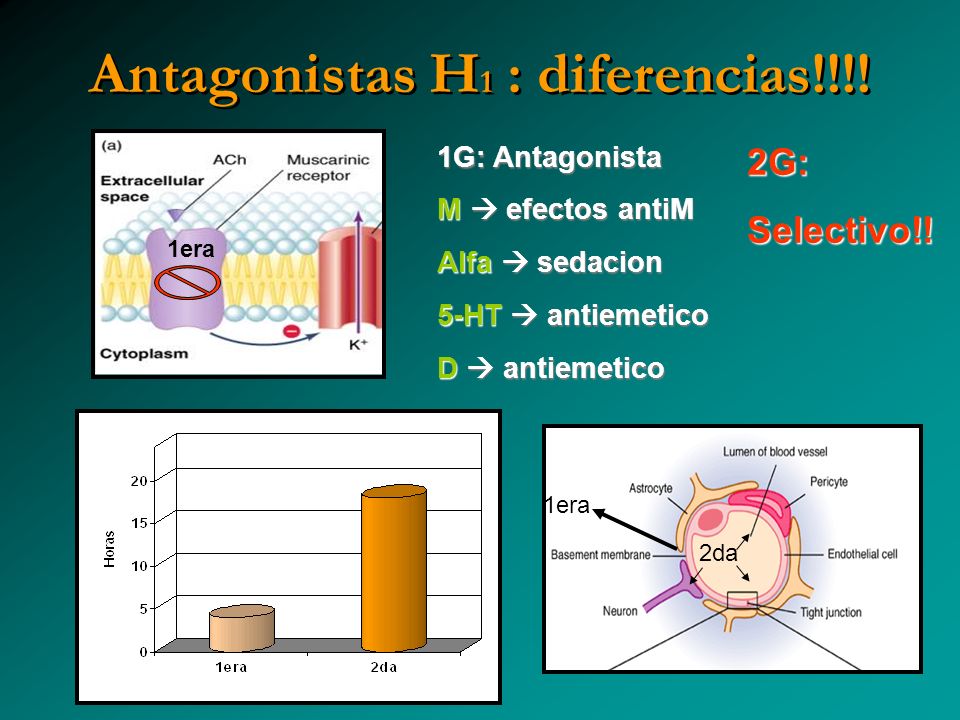 Antagonistas H1 : diferencias!!!!