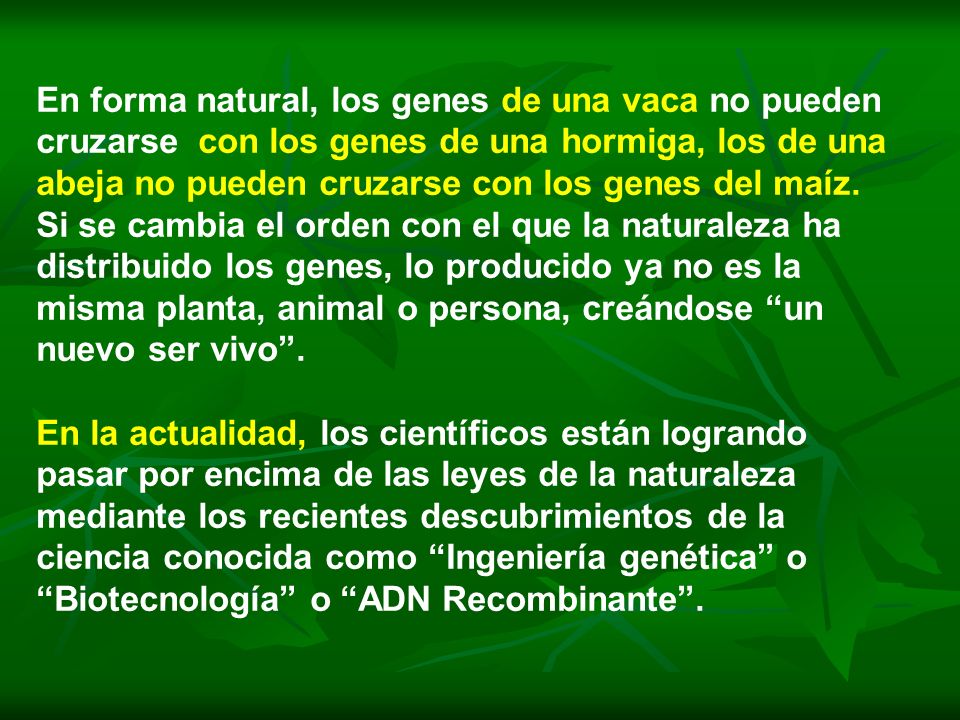 En forma natural, los genes de una vaca no pueden cruzarse con los genes de una hormiga, los de una abeja no pueden cruzarse con los genes del maíz.