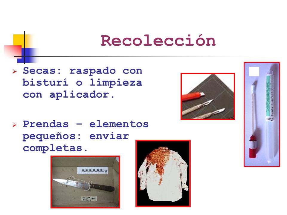 Recolección Secas: raspado con bisturí o limpieza con aplicador.