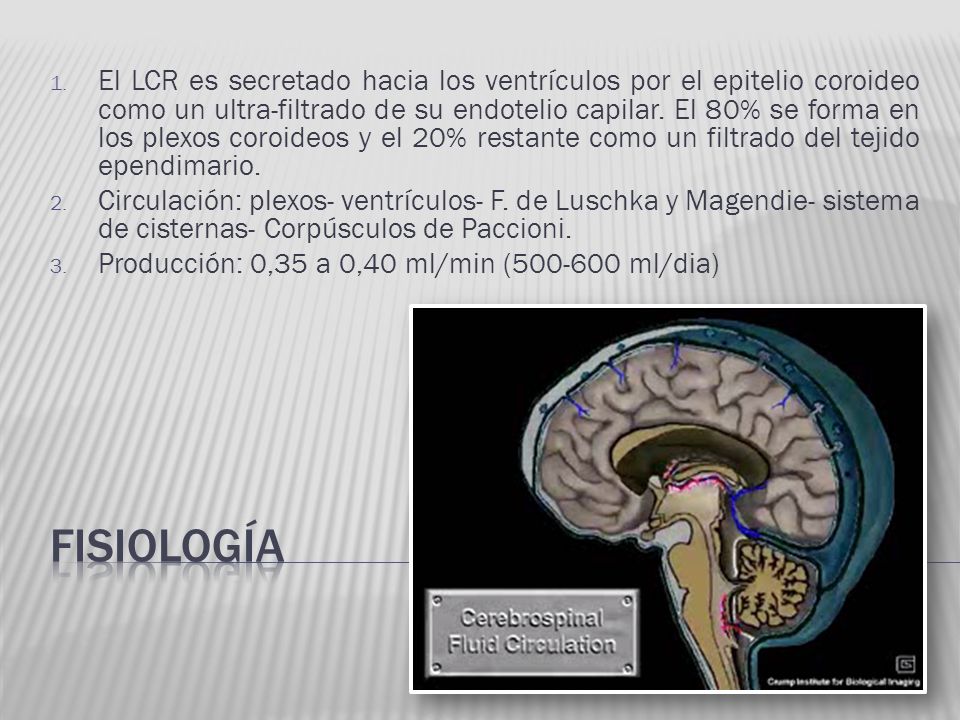El LCR es secretado hacia los ventrículos por el epitelio coroideo como un ultra-filtrado de su endotelio capilar. El 80% se forma en los plexos coroideos y el 20% restante como un filtrado del tejido ependimario.