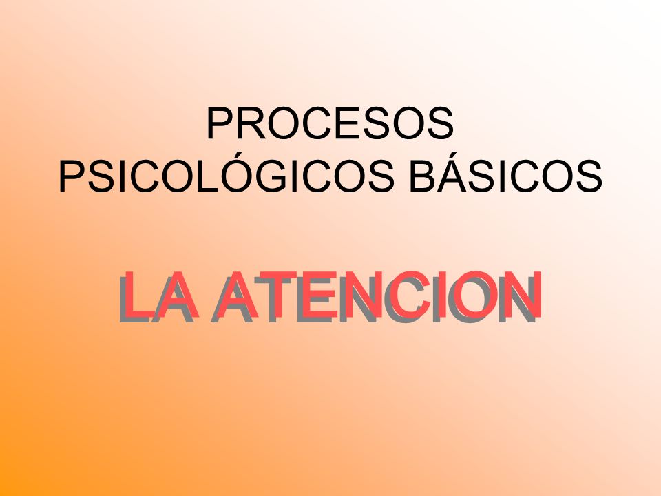 PROCESOS PSICOLÓGICOS BÁSICOS