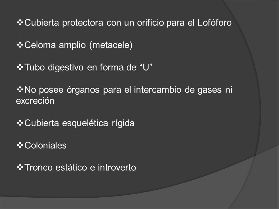 Cubierta protectora con un orificio para el Lofóforo