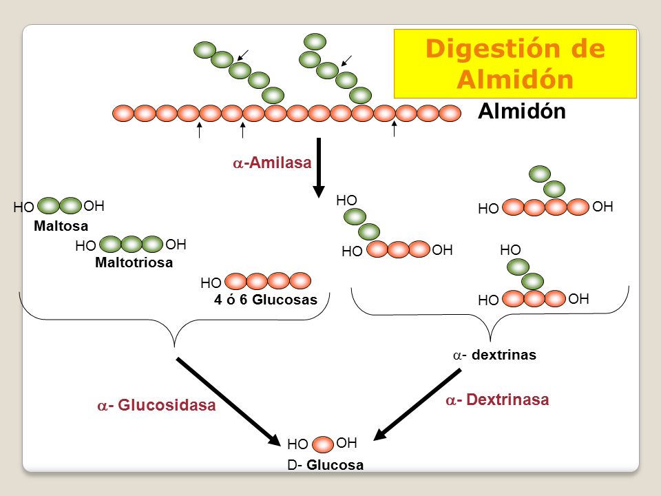 Digestión de Almidón Almidón -Amilasa - Dextrinasa - Glucosidasa HO
