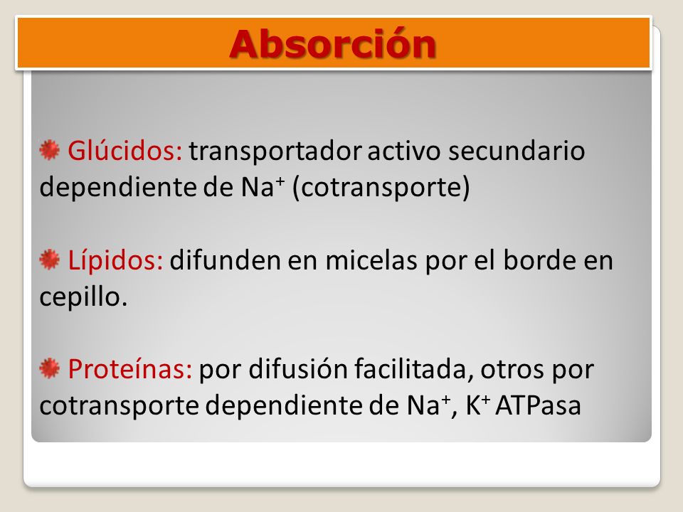 Absorción Glúcidos: transportador activo secundario dependiente de Na+ (cotransporte) Lípidos: difunden en micelas por el borde en cepillo.