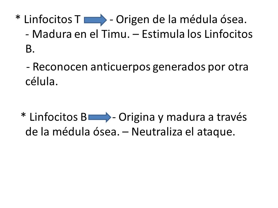 Linfocitos T - Origen de la médula ósea. - Madura en el Timu