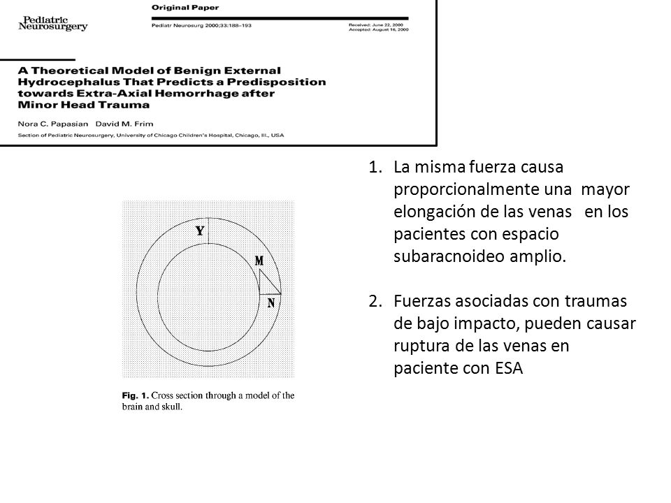 La misma fuerza causa proporcionalmente una mayor elongación de las venas en los pacientes con espacio subaracnoideo amplio.