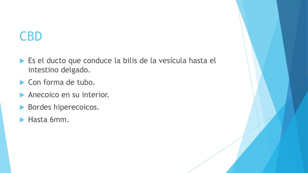 CBD Es el ducto que conduce la bilis de la vesícula hasta el intestino delgado. Con forma de tubo.