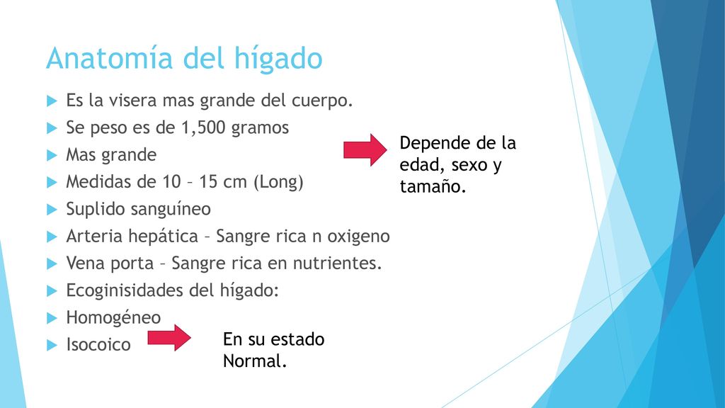 Anatomía del hígado Es la visera mas grande del cuerpo.