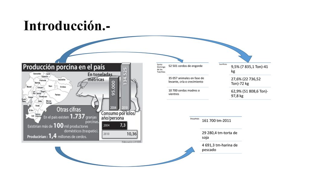 Introducción.- 9,5% (7 835,1 Ton)-41 kg 27,6% (22 736,52 Ton)-72 kg