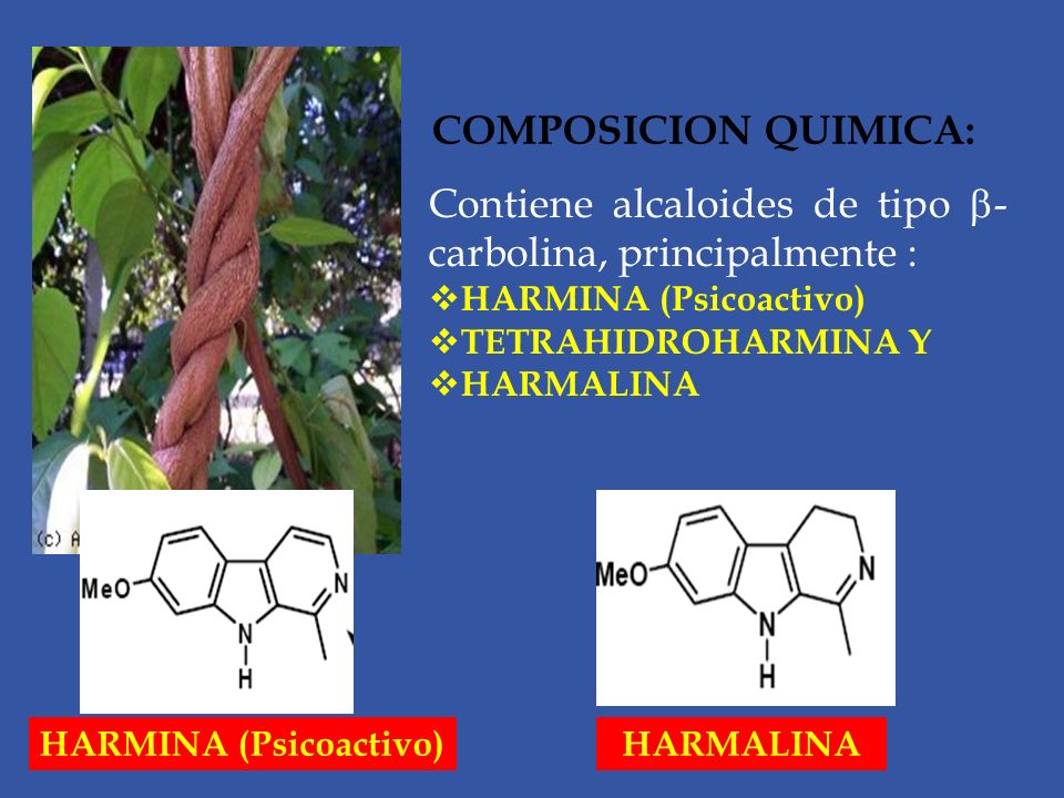 Contiene alcaloides de tipo -carbolina, principalmente :