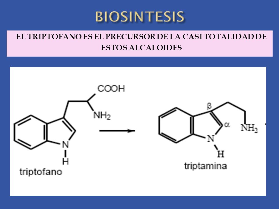 EL TRIPTOFANO ES EL PRECURSOR DE LA CASI TOTALIDAD DE ESTOS ALCALOIDES