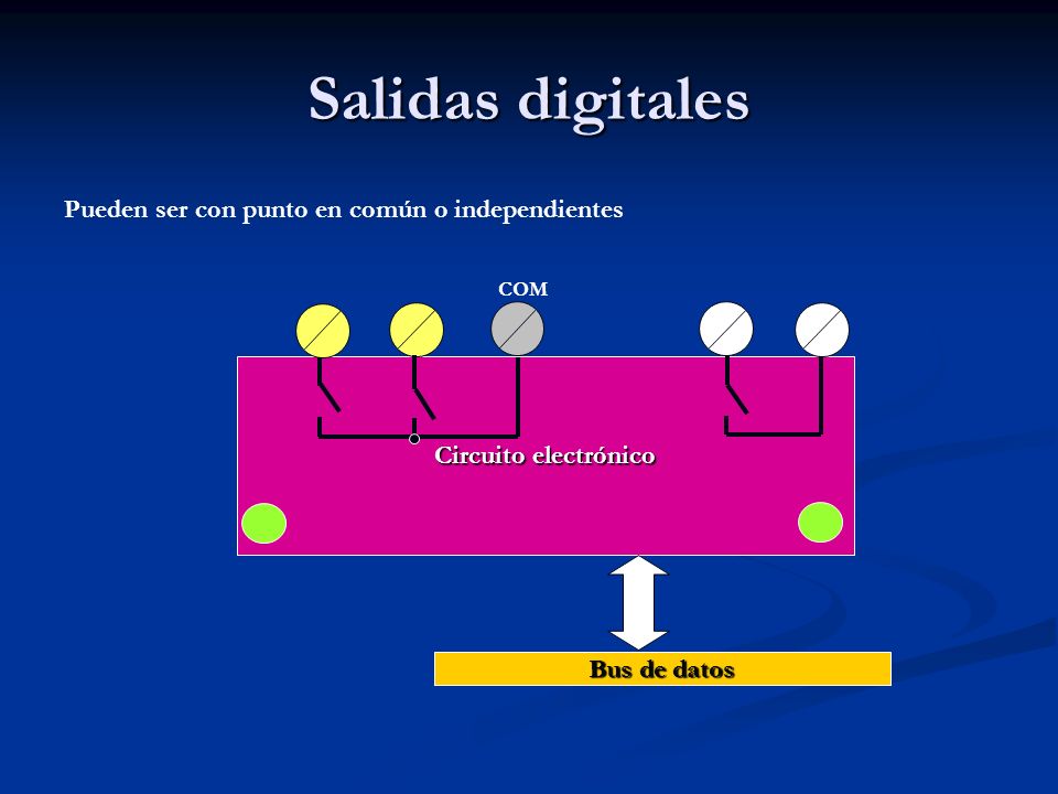 Salidas digitales Pueden ser con punto en común o independientes