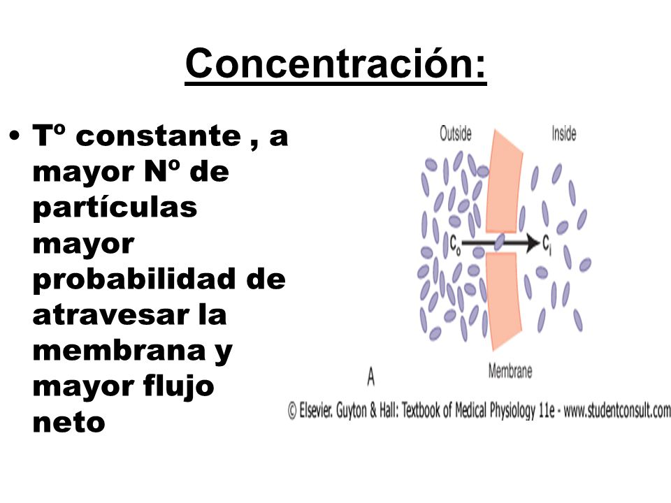 Concentración: Tº constante , a mayor Nº de partículas mayor probabilidad de atravesar la membrana y mayor flujo neto.