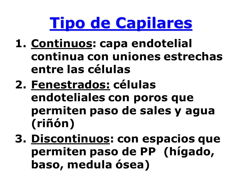 Tipo de Capilares Continuos: capa endotelial continua con uniones estrechas entre las células.