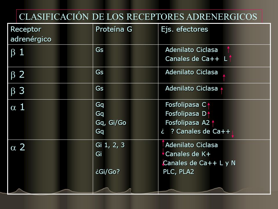 CLASIFICACIÓN DE LOS RECEPTORES ADRENERGICOS  1  2  3  1