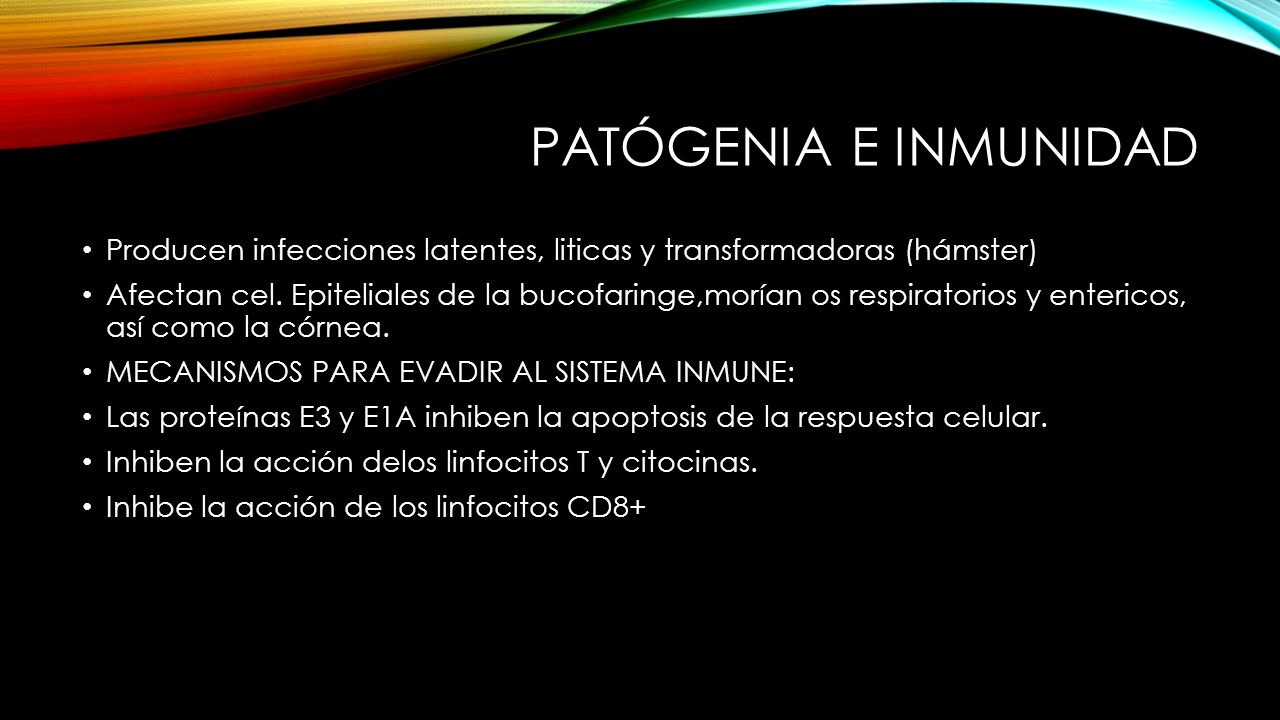 Patógenia e inmunidad Producen infecciones latentes, liticas y transformadoras (hámster)