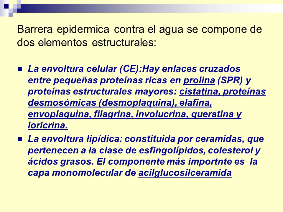 Barrera epidermica contra el agua se compone de dos elementos estructurales: