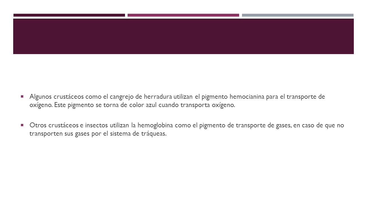 Algunos crustáceos como el cangrejo de herradura utilizan el pigmento hemocianina para el transporte de oxígeno. Este pigmento se torna de color azul cuando transporta oxígeno.